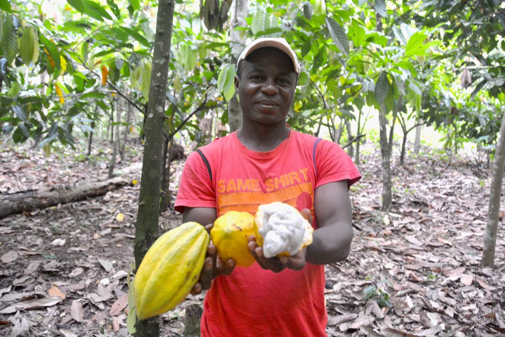 Producteurs Chocolats Cameroun Shoukâ