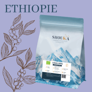 Café de Spécialité – Limmu Gera