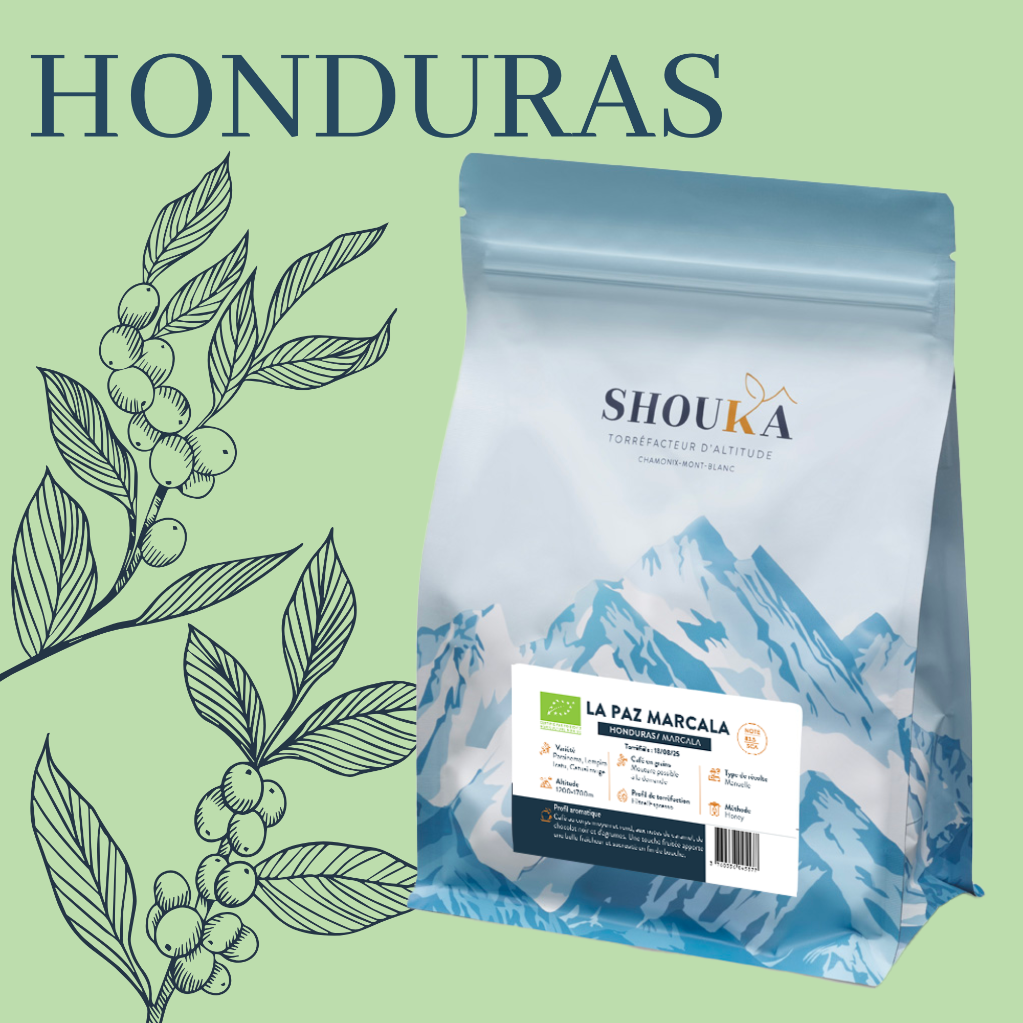 Café de Spécialité – La Paz Marcala – BIO