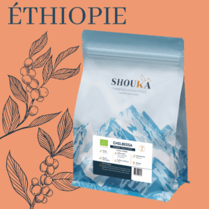 Café de spécialité Chelbessa – BIO