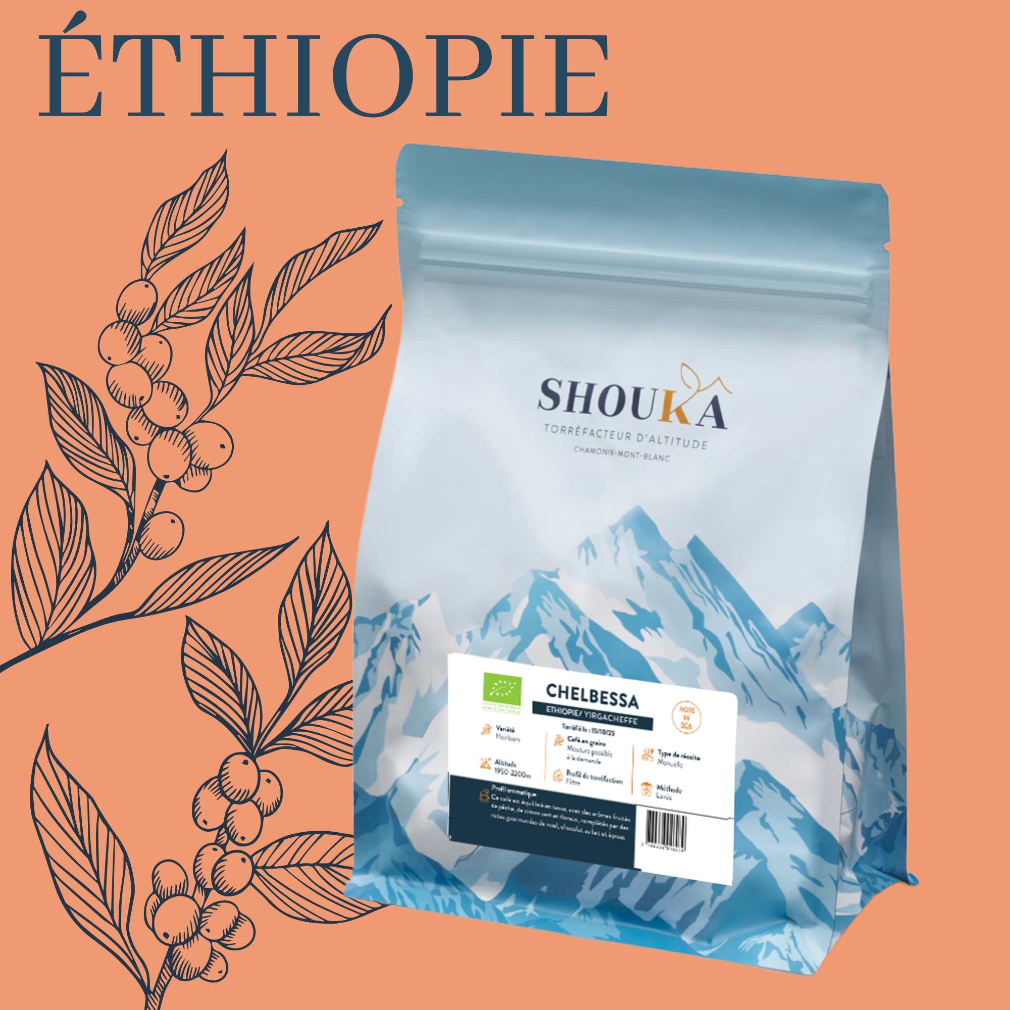 Café de spécialité Chelbessa – BIO
