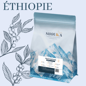 Café de spécialité Halo Hartume