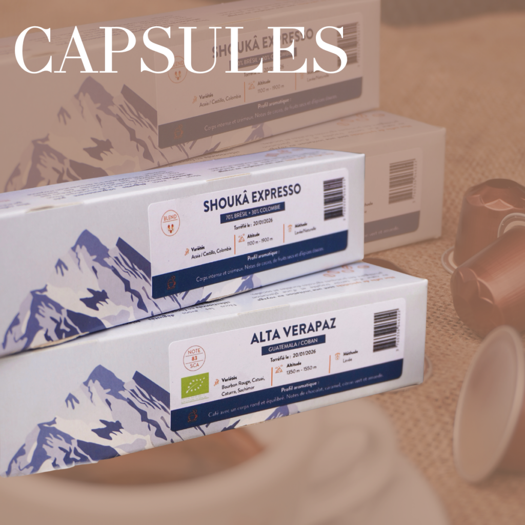 CAPSULES 1