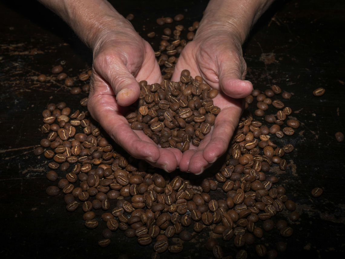 Lire la suite à propos de l’article Pourquoi le café fraîchement torréfié est-il plus digeste ?