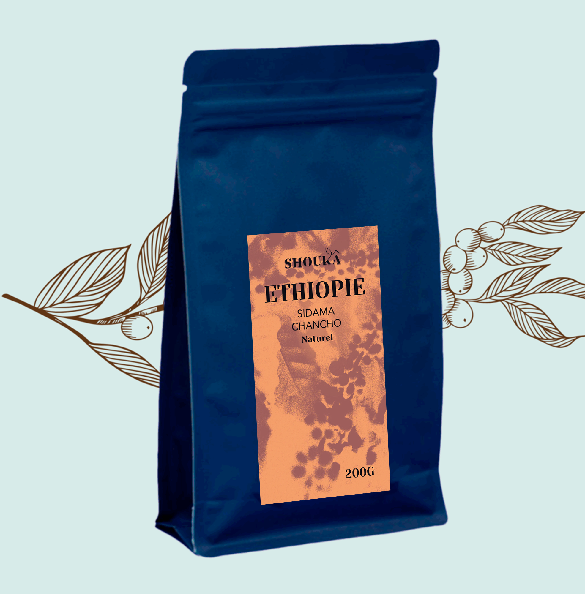 Café de spécialité – Sidama Chancho