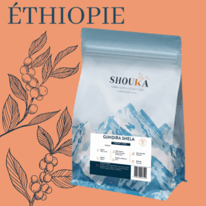 Café de spécialité Gundira Shela<br><small class="productArchive-tag">ÉTHIOPIE</small>